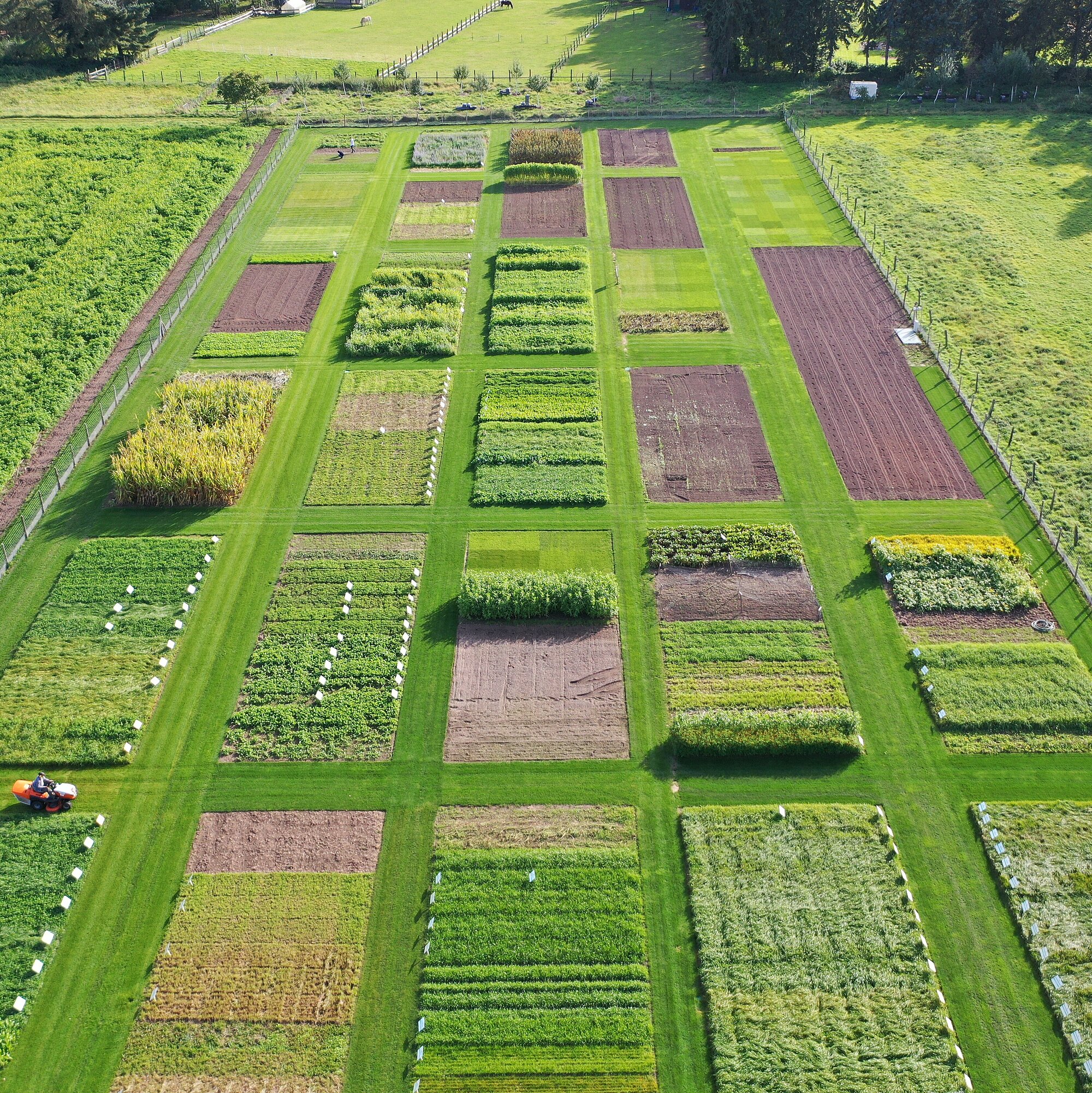 DJI_0342.JPG DJI_0342.JPG