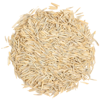 Riesen-Energiegras_Saatgut.png Riesen-Energiegras_Saatgut.png