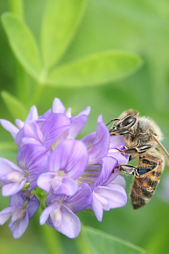 Fotolia_118954090_L.jpg Fotolia_118954090_L.jpg