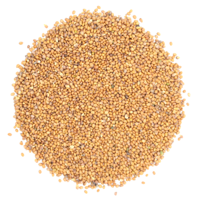 OElrauke_Saatgut.png OElrauke_Saatgut.png