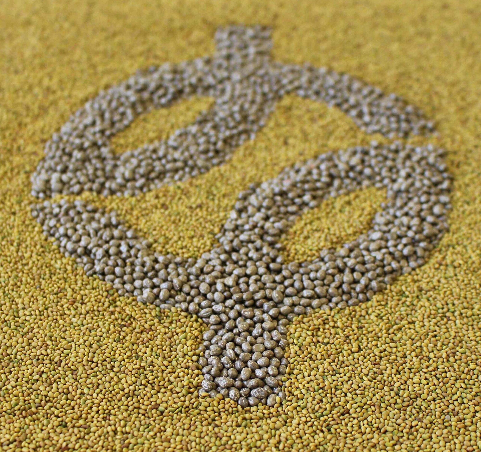 Mantelsaat_Saatgut__113_.jpg Mantelsaat_Saatgut__113_.jpg