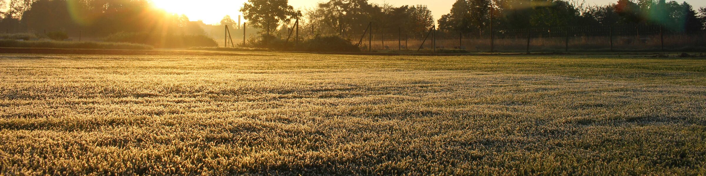 The Freudenberger showgarden in the rising morning ligth with rime on the turf in autum time.