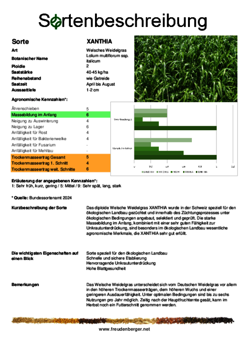 Sortenbeschreibung_XANTHIA.pdf