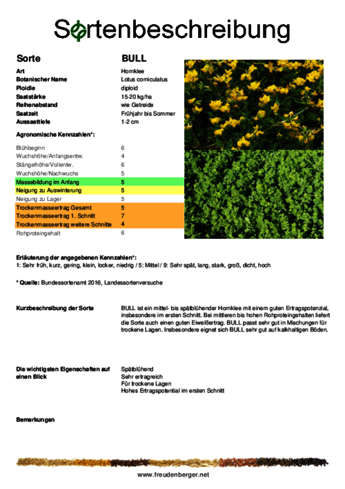 Sortenbeschreibung_BULL.pdf