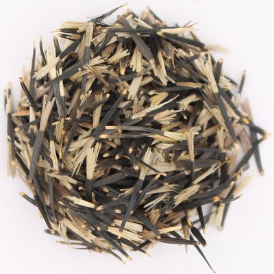 Tagetes_Saatgut.jpg Tagetes_Saatgut.jpg