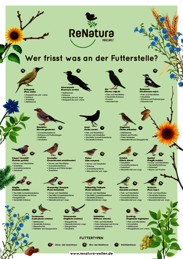 ReNatura_Vogelwelt_Poster.pdf