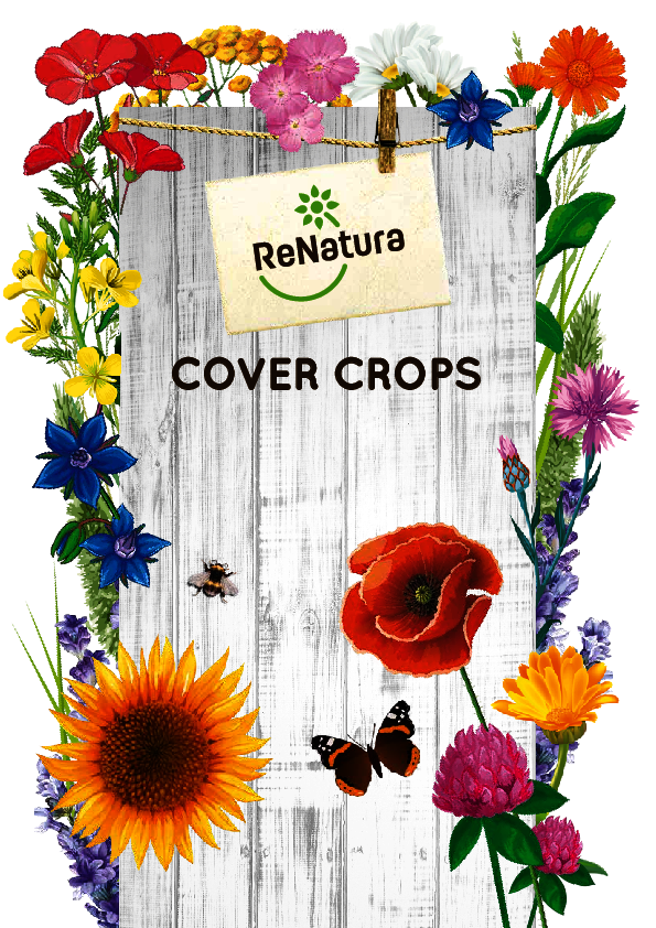 ReNatura_Cover_crops_EN.pdf