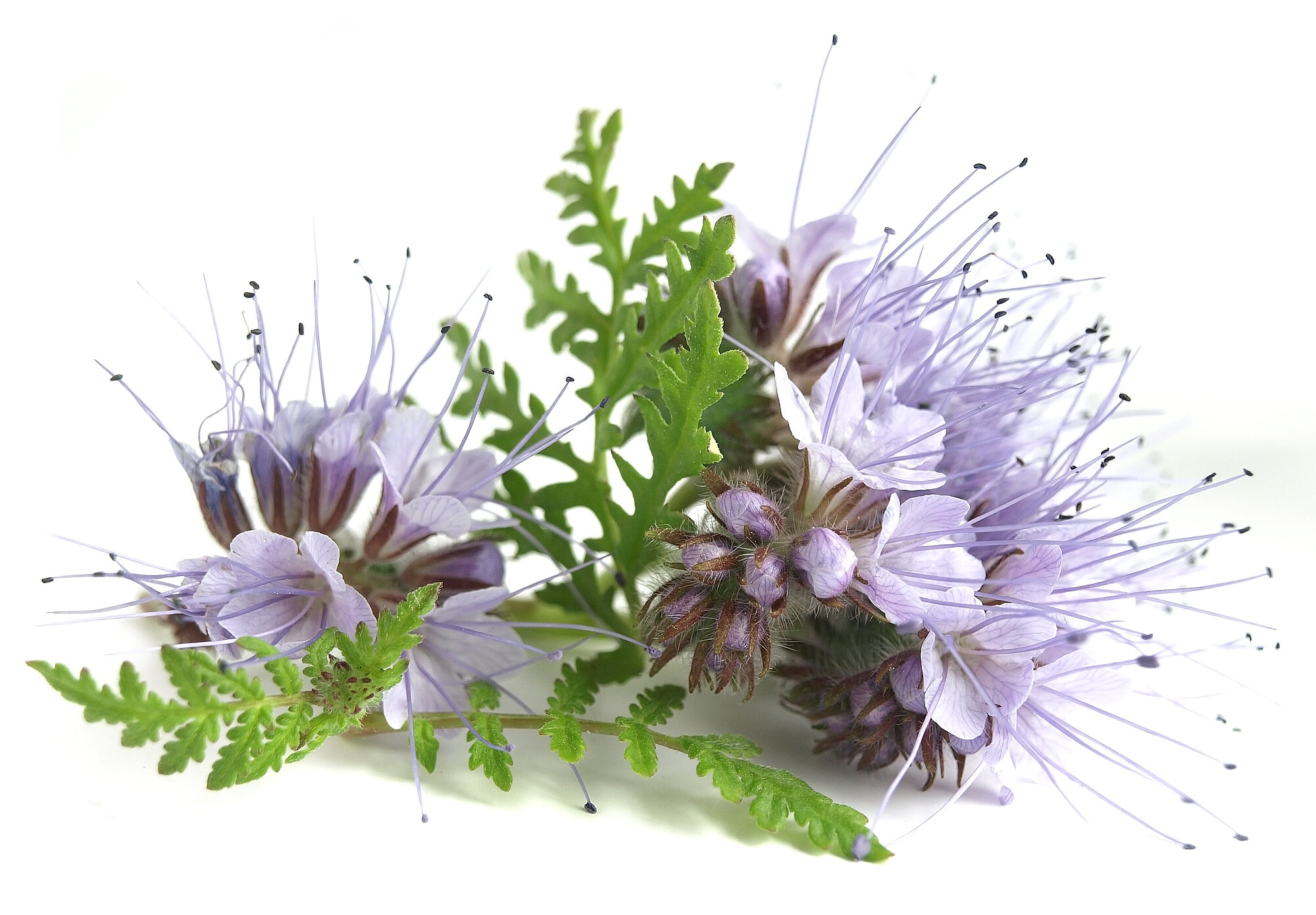 shutterstock_1757118830.jpg shutterstock_1757118830.jpg